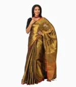 Grand Collection Tissue Handloom Saree With Running Blouse